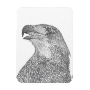 HARRIET OZZIE M HOME STORY OF FAMILY TREE E9 LOVE MAGNET