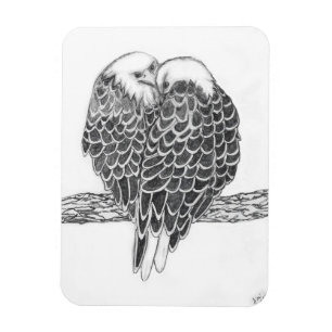 HARRIET OZZIE M HOME STORY OF FAMILY TREE LOVE MAGNET