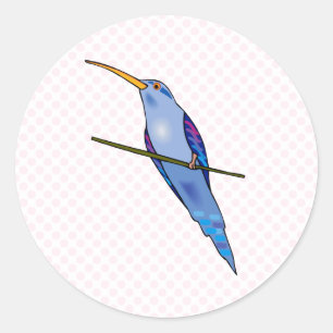 Harriot Hummingbird Classic Round Sticker