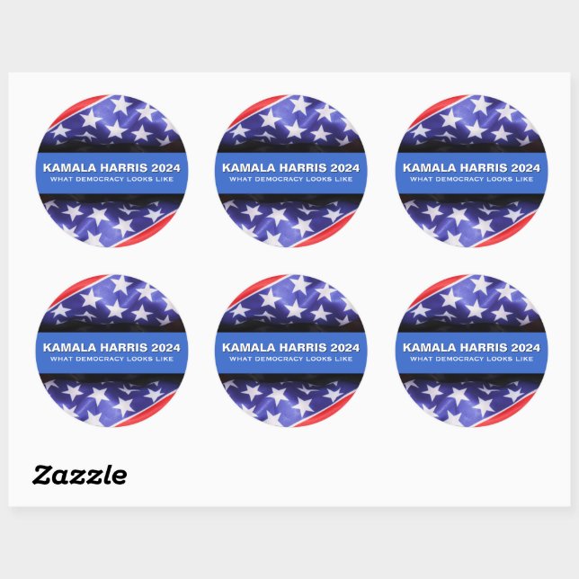 HARRIS 2024 Democracy Campaign Classic Round Sticker (Sheet)