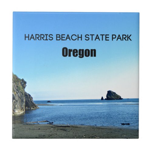 Harris Beach State Park OR Tile