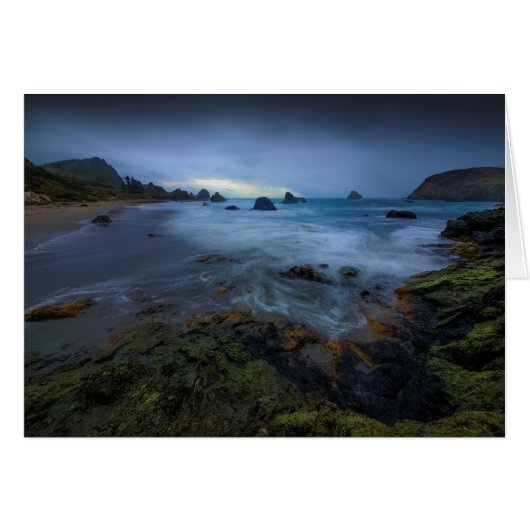 Harris Beach State Park | Oregon Cards (Front Horizontal)