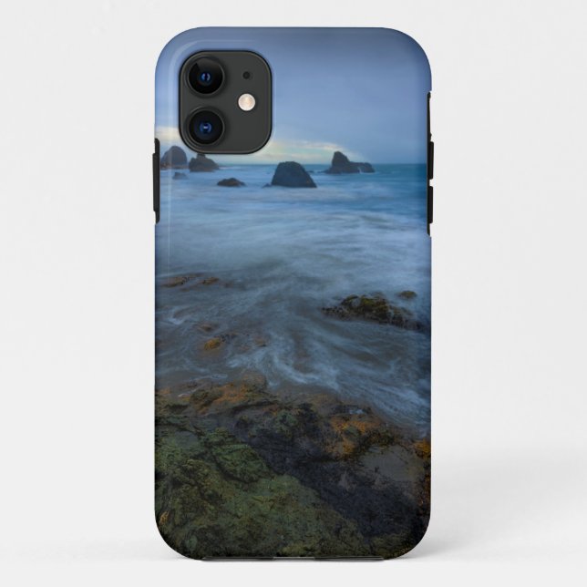 Harris Beach State Park | Oregon Case-Mate iPhone Case (Back)