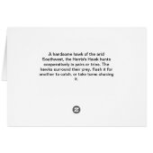 Harris Hawk 7 Cards (Back Horizontal)