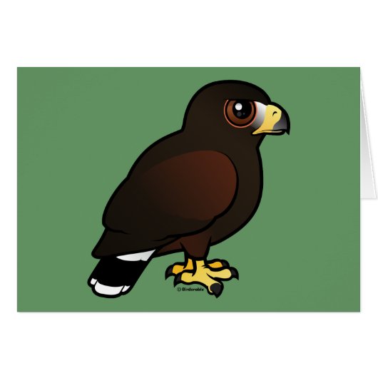 Harris Hawk Cards (Front Horizontal)