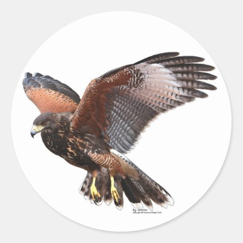 Harris Hawk Classic Round Sticker