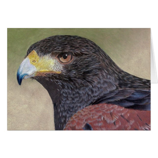 Harris Hawk colored pencils Cards (Front Horizontal)