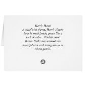 Harris Hawk-cp Cards (Back Horizontal)