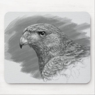 Harris Hawk Drawing Mouse Pad