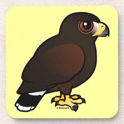 Harris Hawk Drink Coaster