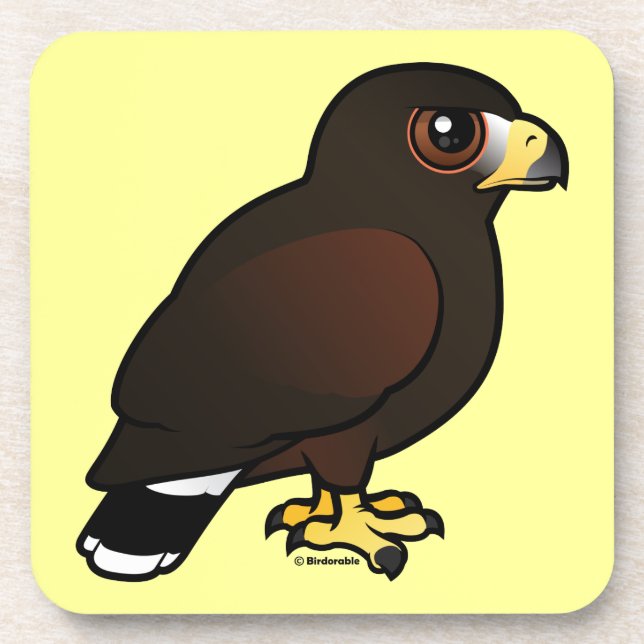 Harris Hawk Drink Coaster (Front)