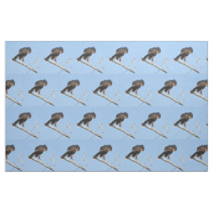 Harris Hawk Fabric