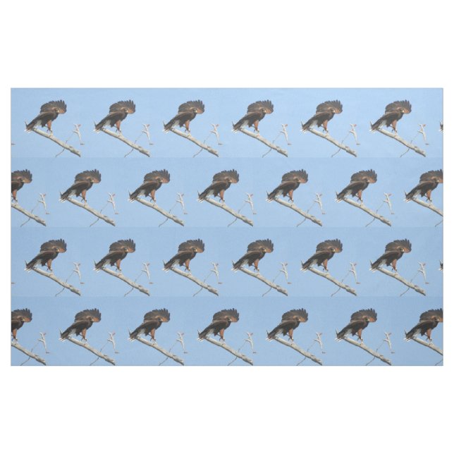 Harris Hawk Fabric (Fat Quarter)