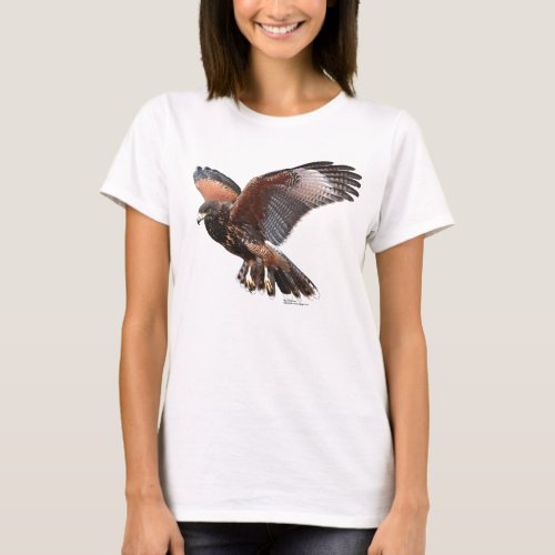 Harris Hawk in Flight T_Shirt