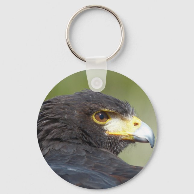 Harris Hawk Keychain (Front)