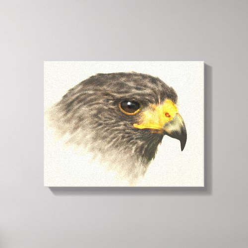 Harris Hawk _ Mixed Medium Canvas Print