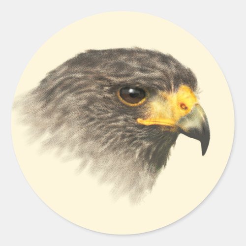 Harris Hawk _ Mixed Medium Classic Round Sticker