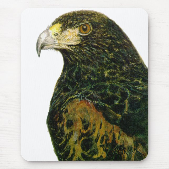Harris Hawk Mouse pad (Front)