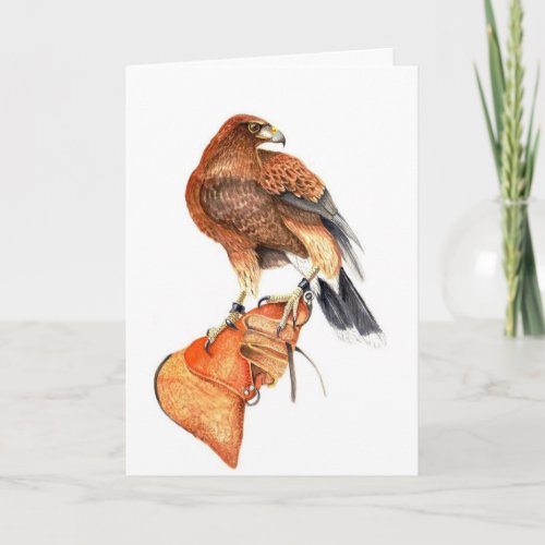 Harris Hawk on Glove birthday Card