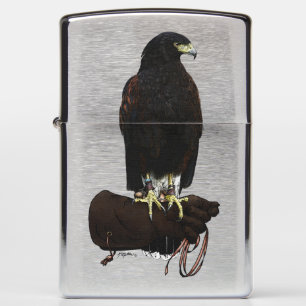Harris Hawk on Glove Zippo Lighter