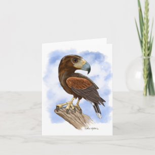 Harris Hawk On The Lookout Cartoon Card