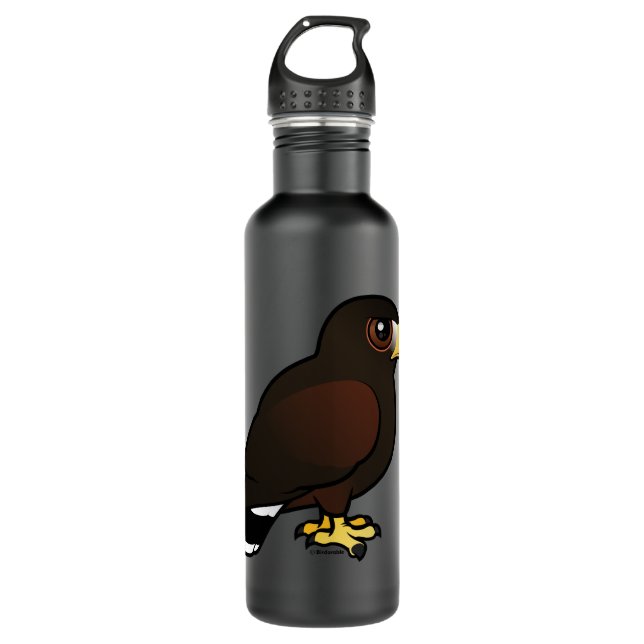 Harris Hawk Water Bottle (Front)
