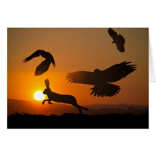 Harris Hawks Cards (Front Horizontal)