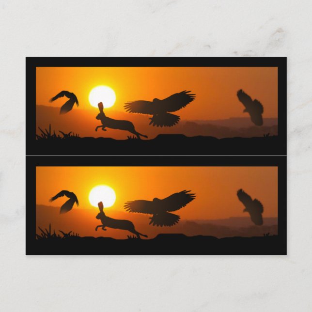 Harris Hawks Hunting Book markers Postcard (Front)