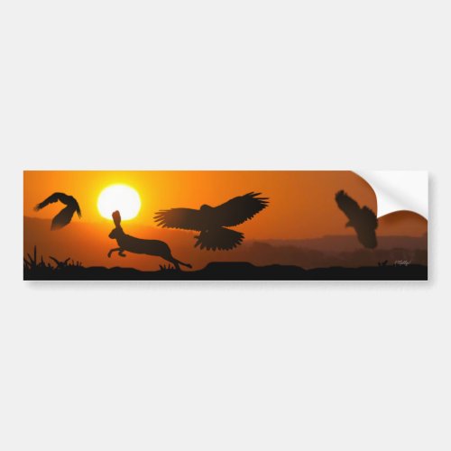 Harris Hawks Hunting Bumper Sticker