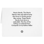 Harris Hawks Hunting card (Back Horizontal)