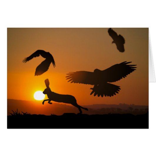 Harris Hawks Hunting card (Front Horizontal)