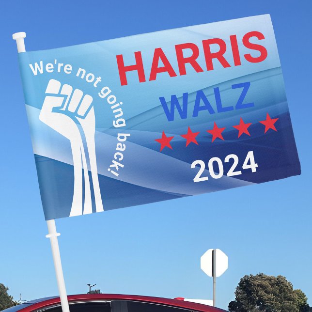 Harris Walz 2024 Election 'We're not going back' Car Flag (Creator Uploaded)