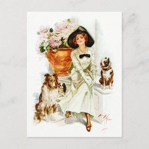 Harrison Fisher Woman with three Dogs Postcard