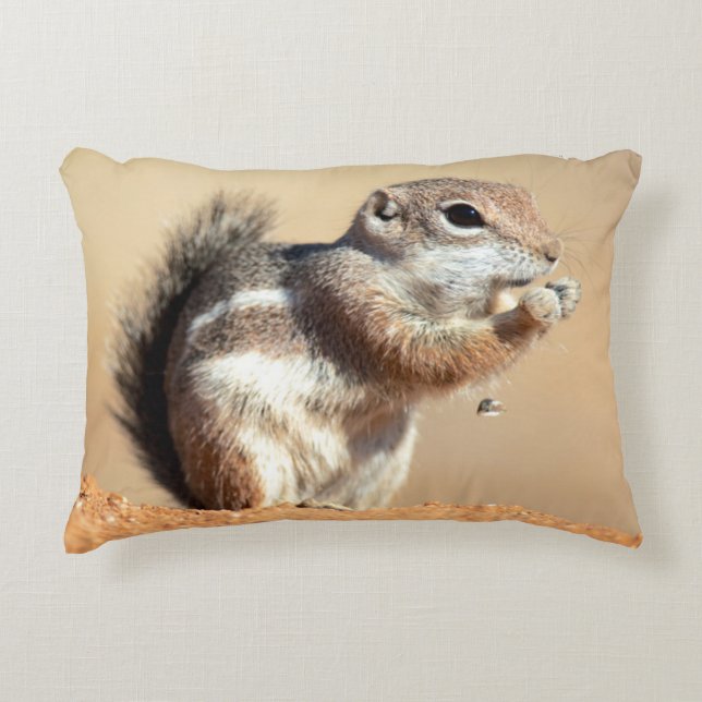 Harris's antelope squirrel (Ammospermophilus) Decorative Pillow (Front)