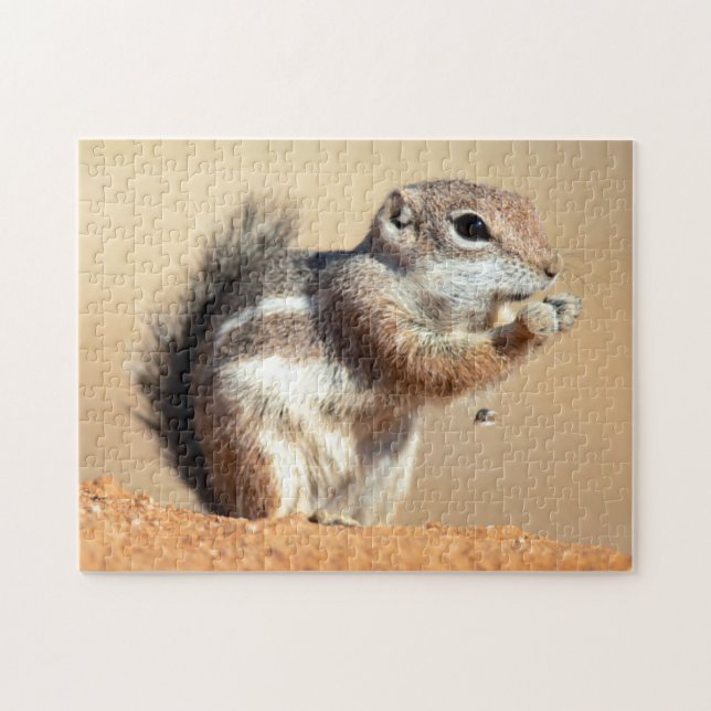 Harris's antelope squirrel (Ammospermophilus) Jigsaw Puzzle (Horizontal)