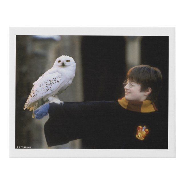 Harry and Hedwig 3 Faux Canvas Print (Front)