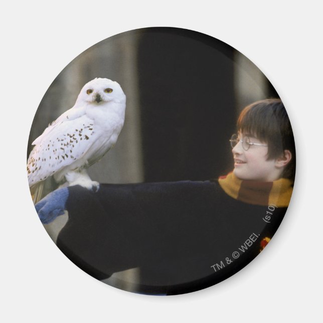 Harry and Hedwig 3 Magnet (Front)