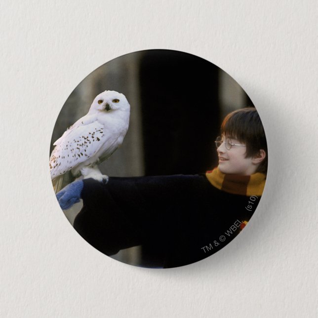 Harry and Hedwig 3 Pinback Button (Front)