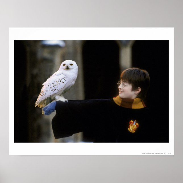 Harry and Hedwig 3 Poster (Front)