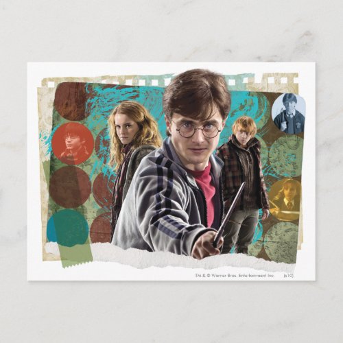 Harry Hermione and Ron 1 Postcard