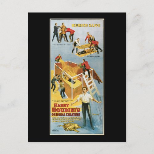 Harry Houdini Buried Alive Vintage Poster 1914 Postcard