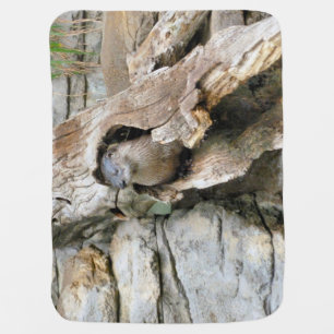 Harry Otter Baby Blanket