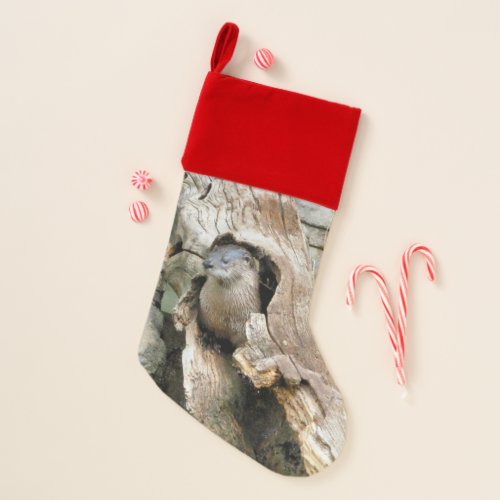Harry Otter Christmas Stocking