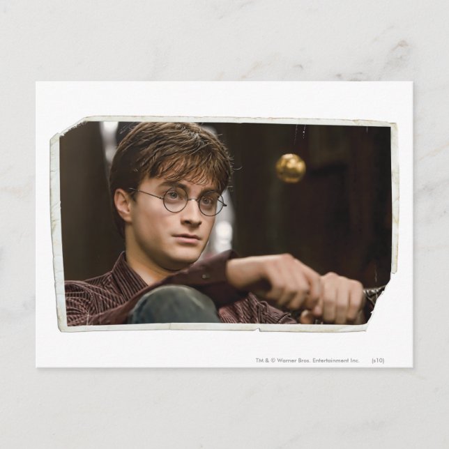 Harry Potter 17 Postcard (Front)