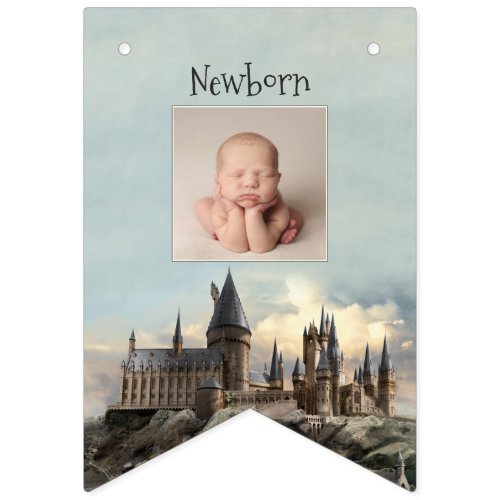 Harry Potter 1st Birthday 12 Month Photo Bunting F Bunting Flags