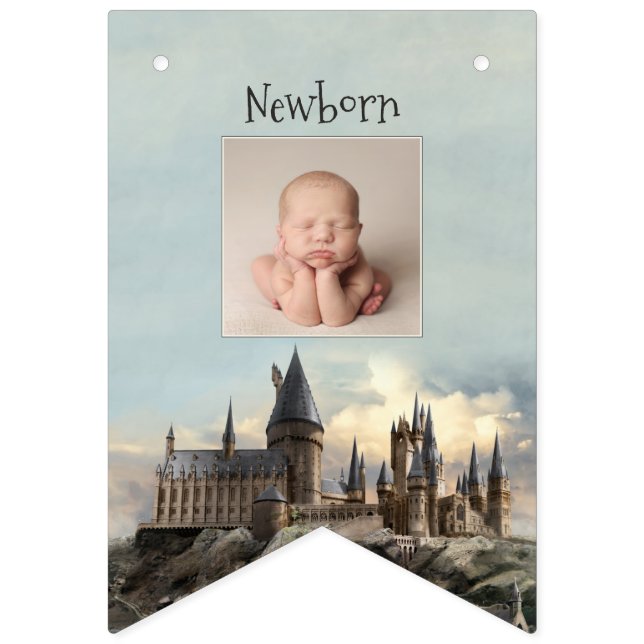 Harry Potter 1st Birthday 12 Month Photo Bunting F Flags (Second Flag)