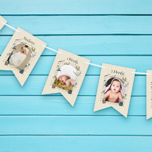 Harry Potter 1st Birthday 12 Month Photo Bunting Flags