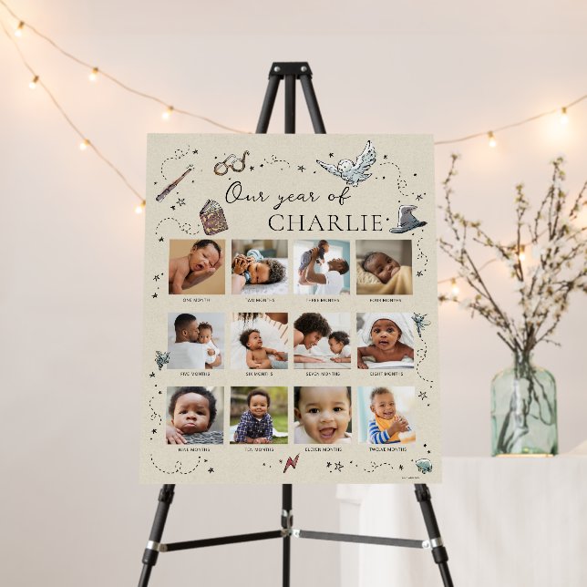 Harry Potter 1st Birthday - 12 Month Photo Collage Foam Board (In Situ (Stand))