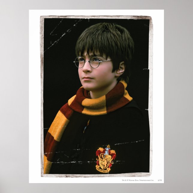 Harry Potter 2 Poster (Front)