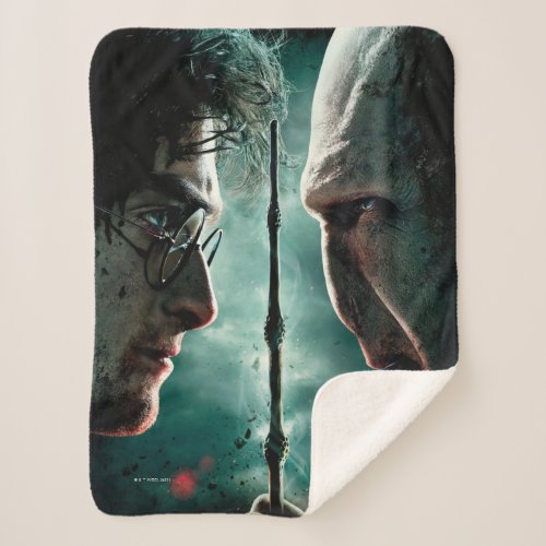Harry Potter 7 Part 2 _ Harry vs Voldemort Sherpa Blanket